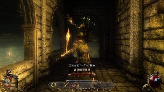 Two Worlds II: Echoes of the Dark Past 2 — screenshot 3