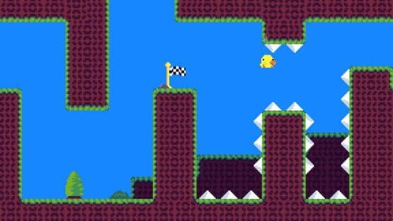 Anatidae — screenshot 2