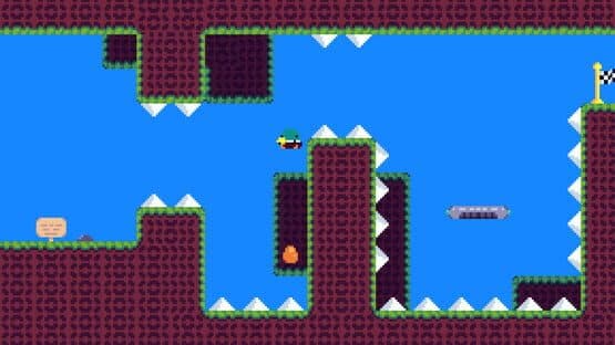 Anatidae — screenshot 3