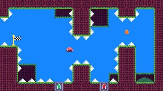 Anatidae — screenshot 4