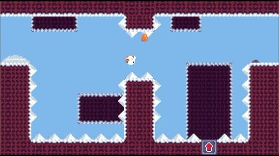 Anatidae — screenshot 5