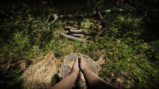 Primal Man Simulator — screenshot 4