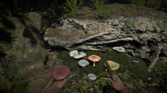 Primal Man Simulator — screenshot 5