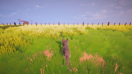 Little Wolf — screenshot 6