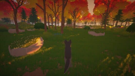 Little Wolf — screenshot 7