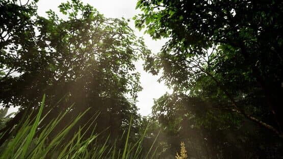 The Sole Survivor — screenshot 6