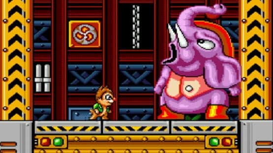 Squirrel King — screenshot 2