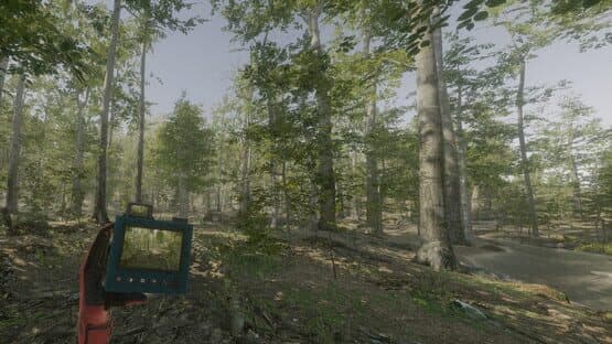 VR Walking Simulator — screenshot 2
