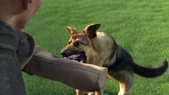 Animal Trainer — screenshot 1