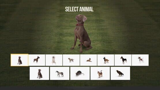 Animal Trainer — screenshot 2