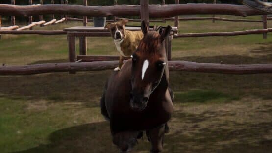 Animal Trainer — screenshot 7
