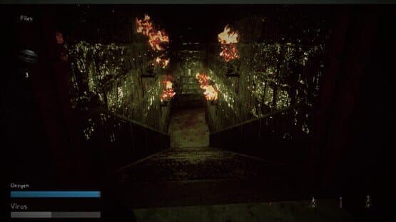 During Before and After Covid-19 — screenshot 8