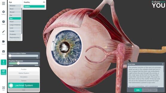 Sharecare You — screenshot 4