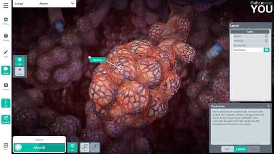 Sharecare You — screenshot 7
