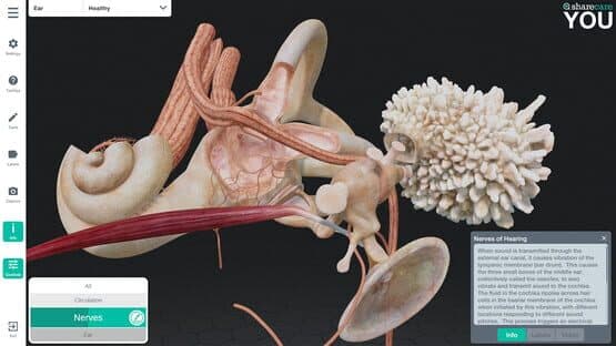Sharecare You — screenshot 8