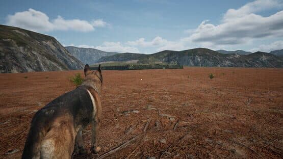 Dog Fox Bunny — screenshot 1