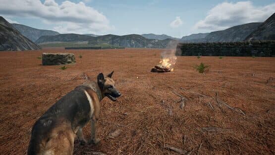 Dog Fox Bunny — screenshot 6