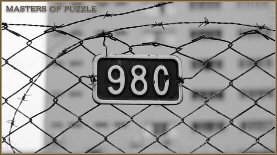 Masters of Puzzle: Black and White - 980 — screenshot 1