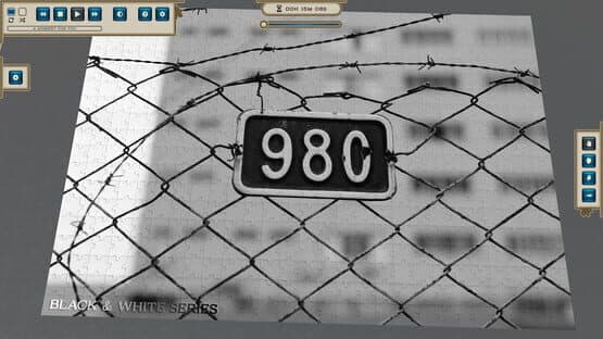 Masters of Puzzle: Black and White - 980 — screenshot 5