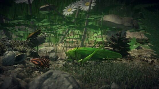 Insect Worlds — screenshot 1