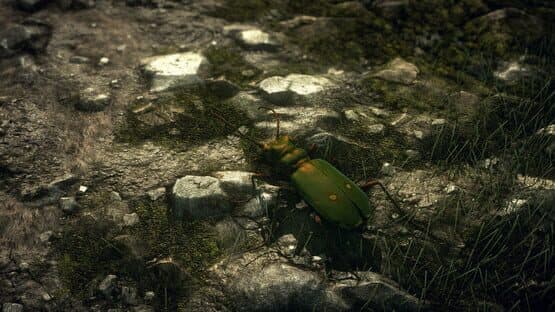 Insect Worlds — screenshot 3
