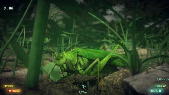 Insect Worlds — screenshot 4