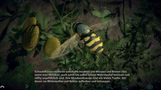 Insect Worlds — screenshot 5