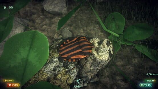 Insect Worlds — screenshot 7