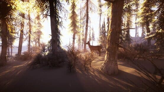 Snow Survival — screenshot 4