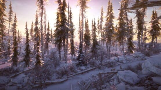 Snow Survival — screenshot 8