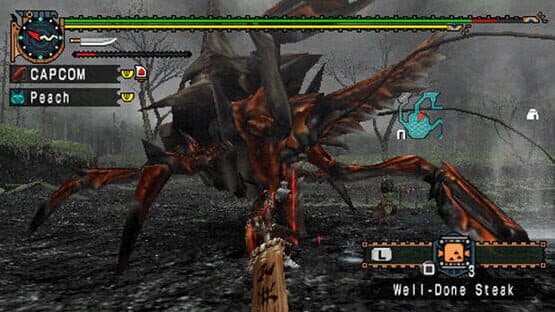 Monster Hunter Dual Pack — screenshot 3