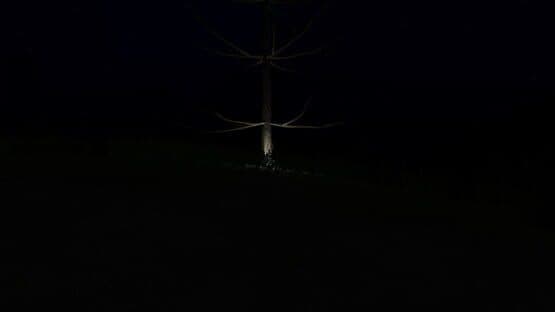 Lost in Terra Mora — screenshot 2