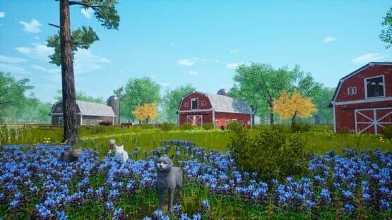 Cat Simulator: Meow — screenshot 3
