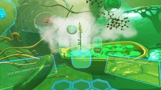 VR Plant Journey — screenshot 8