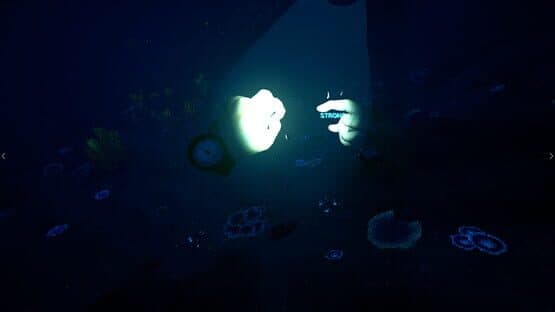Bodies of Water VR — screenshot 5