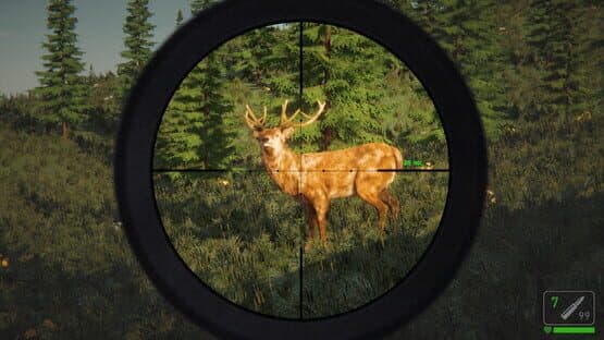 The Mountain Hunting — screenshot 2