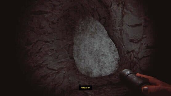 Depths of Horror: Mushroom Day — screenshot 4