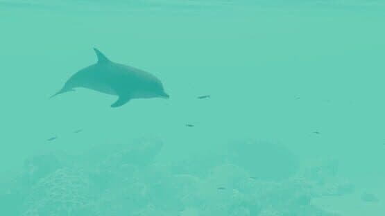 Nature Treks: Together — screenshot 7
