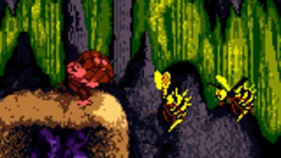Donkey Kong Country — screenshot 1