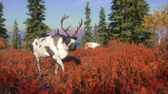 TheHunter: Call of the Wild - Yukon Valley — screenshot 1