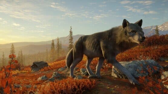 TheHunter: Call of the Wild - Yukon Valley — screenshot 6