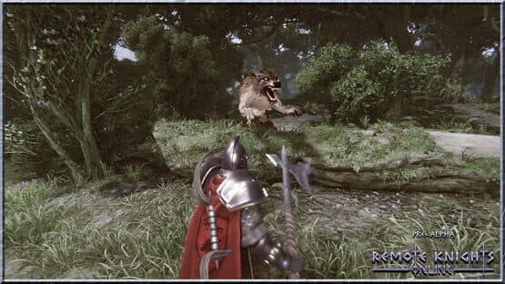 Remote Knights Online — screenshot 3