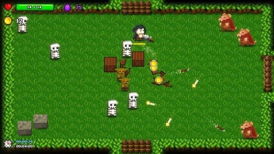 Roguely — screenshot 1