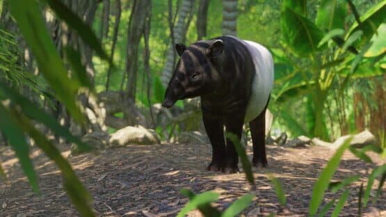 Planet Zoo: Southeast Asia Animal Pack — screenshot 3