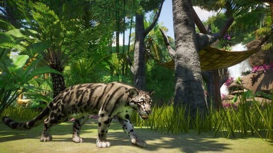 Planet Zoo: Southeast Asia Animal Pack — screenshot 6