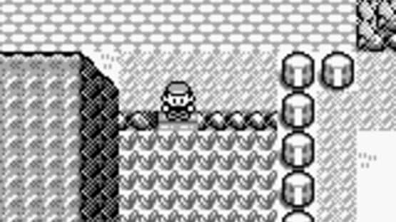 Pokémon Blue Version — screenshot 3