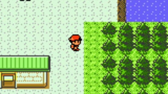 Pokémon Silver Version — screenshot 2