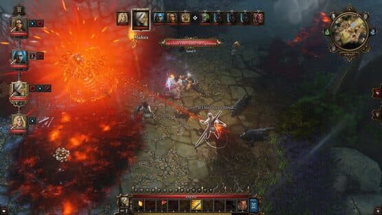 Divinity: Original Sin - Enhanced Edition Collector's Edition — screenshot 5