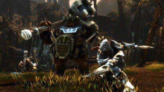 Kingdoms of Amalur: Re-Reckoning - Fate Edition — screenshot 2