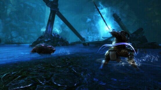 Kingdoms of Amalur: Re-Reckoning - Fate Edition — screenshot 3